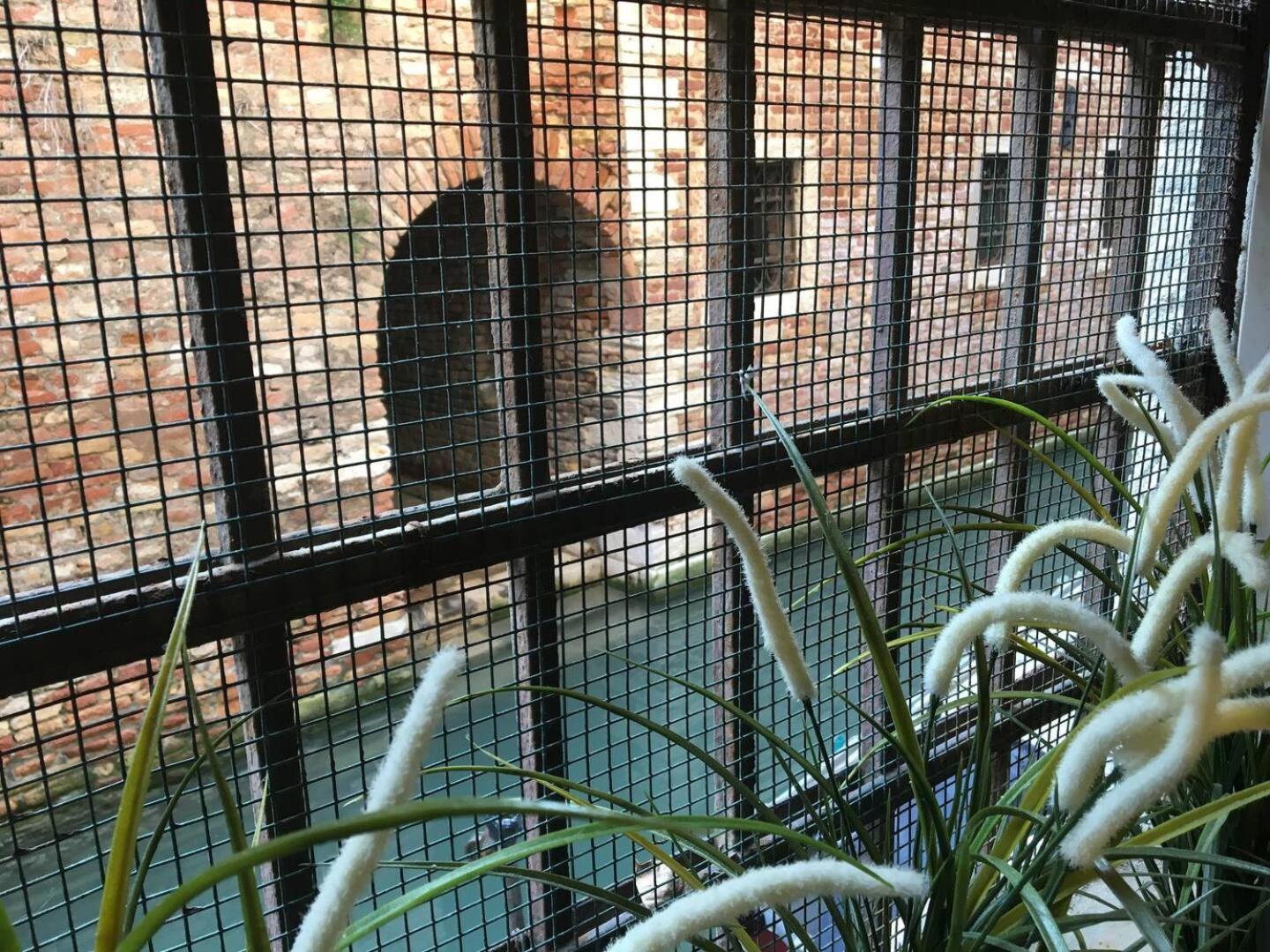 Appartement Mascherone